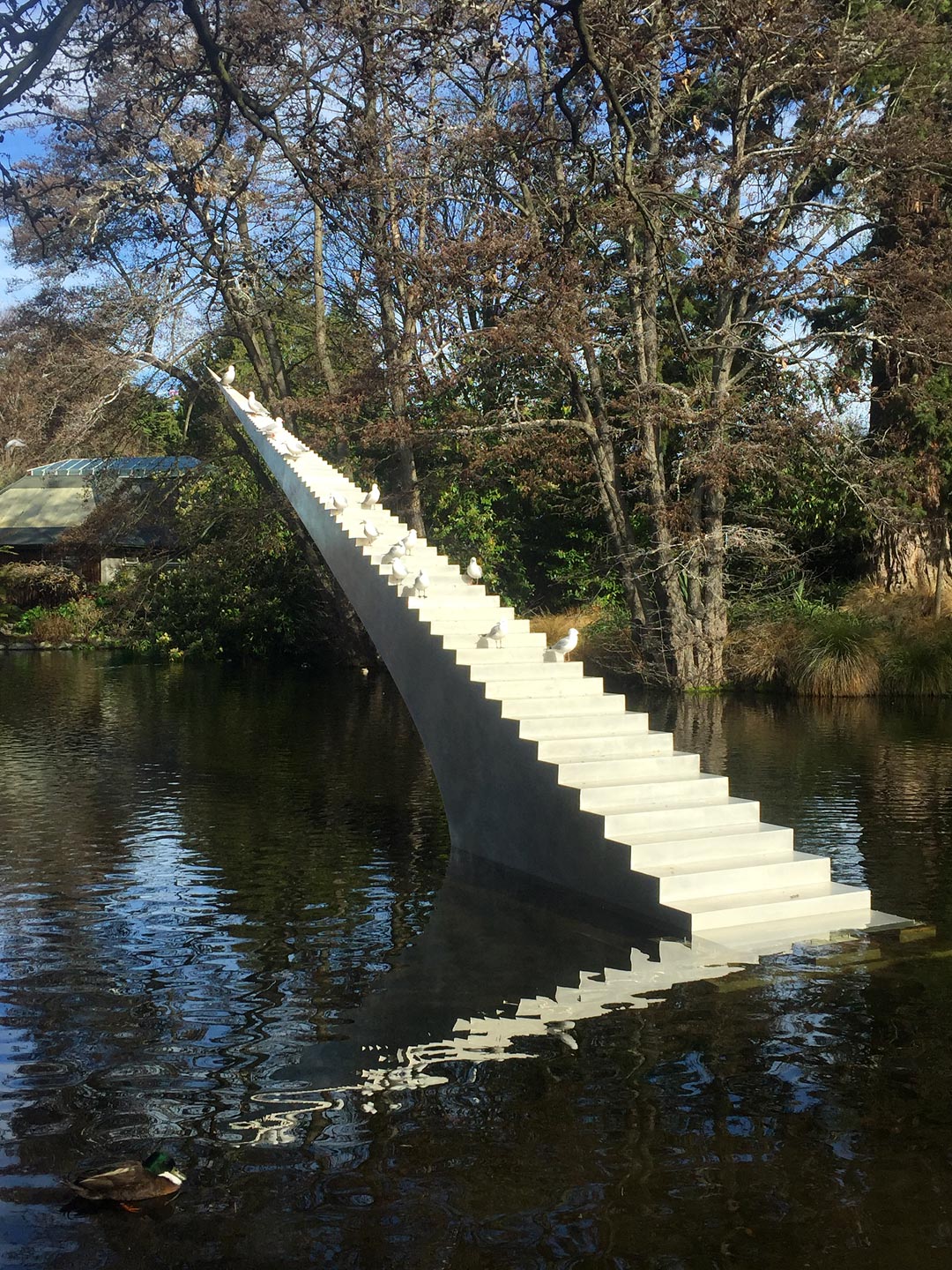  Stairs . Garden. Garden Maintenance 