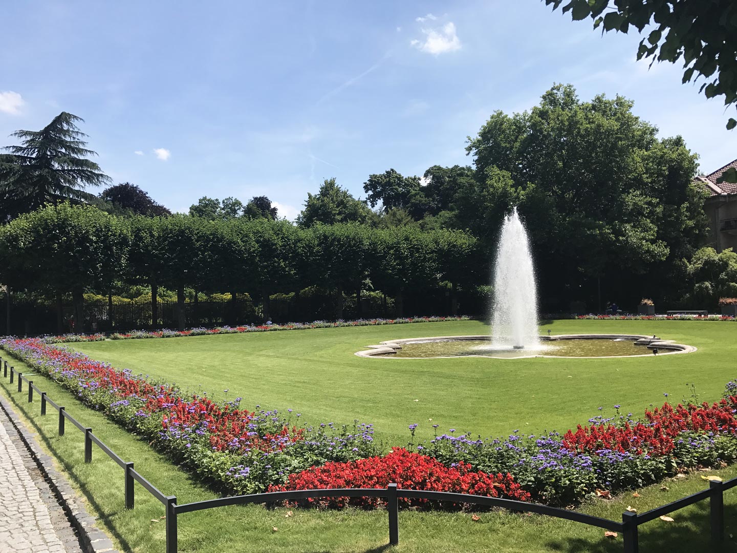  Water. Water feature. Garden. Garden Maintenance 