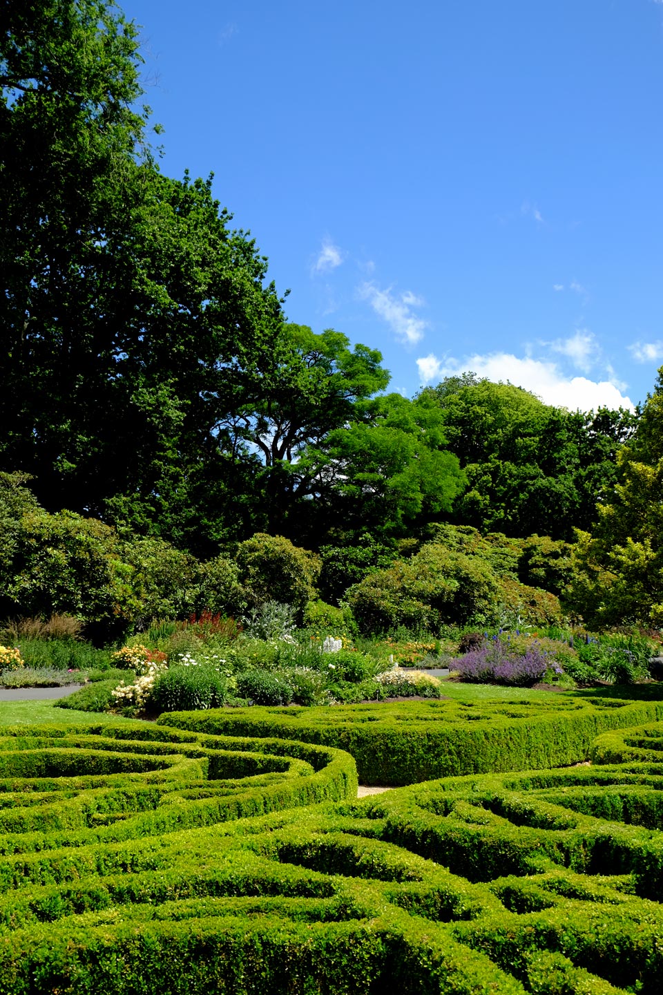  Gardens. Garden Maintenance. Buxus 