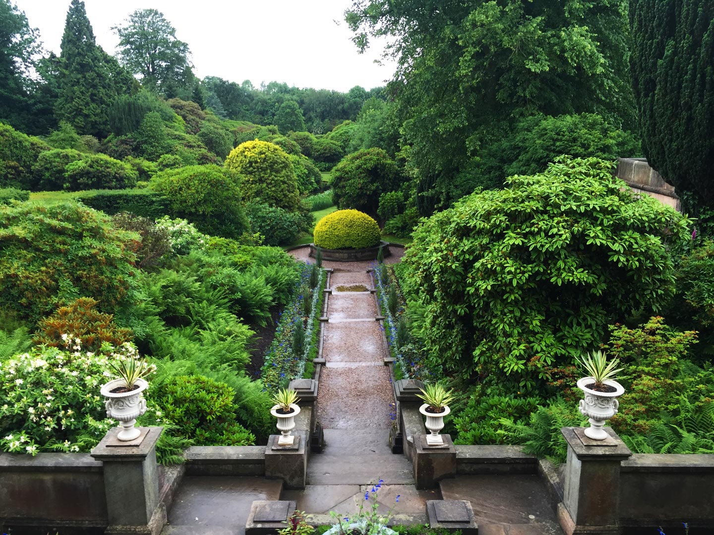  Gardens. Garden Maintenance. Buxus 