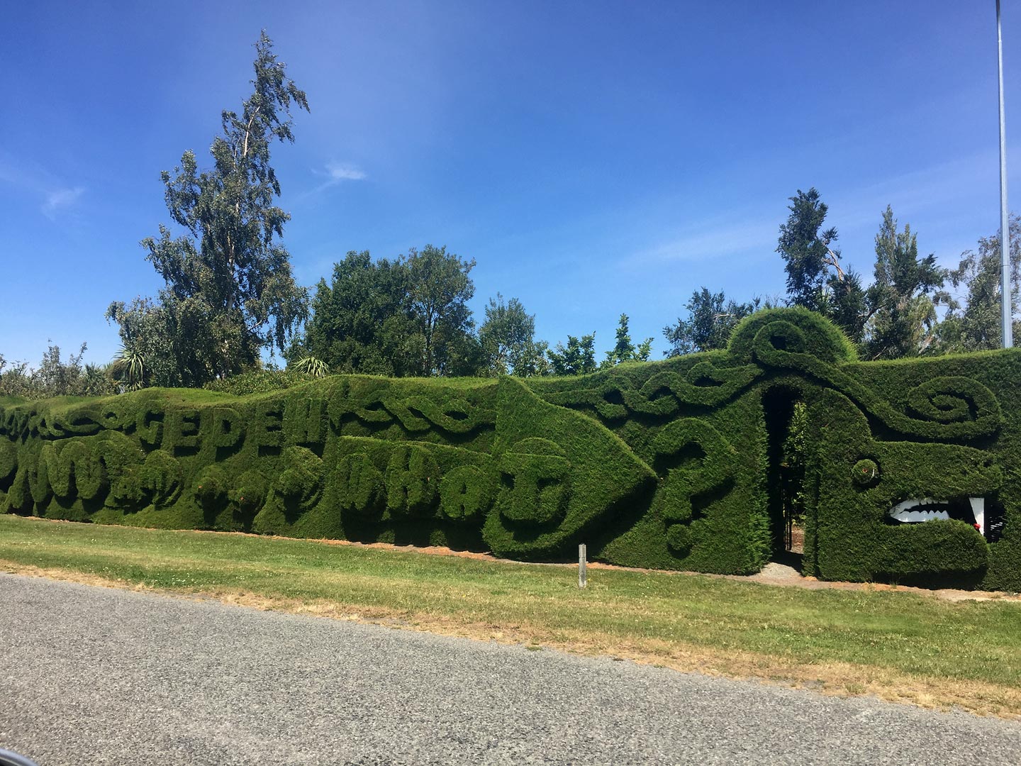  Garden. Garden Maintenace. Plant. hedge  