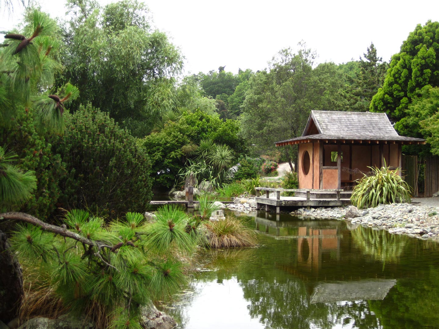  Garden. Japanese Garden Maintenace  