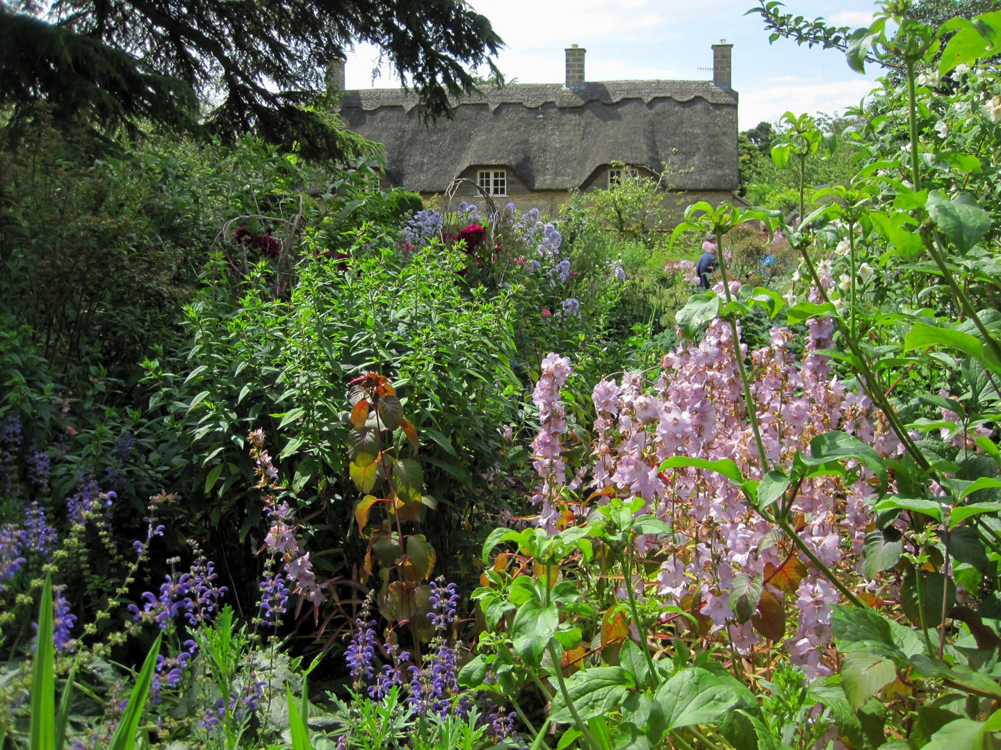  Herbaceous . Garden .Garden Maintenance 