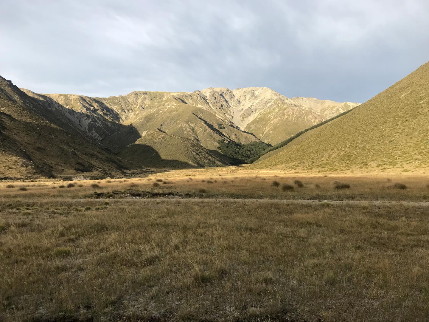  Landscape Garden. Garden Maintenance 