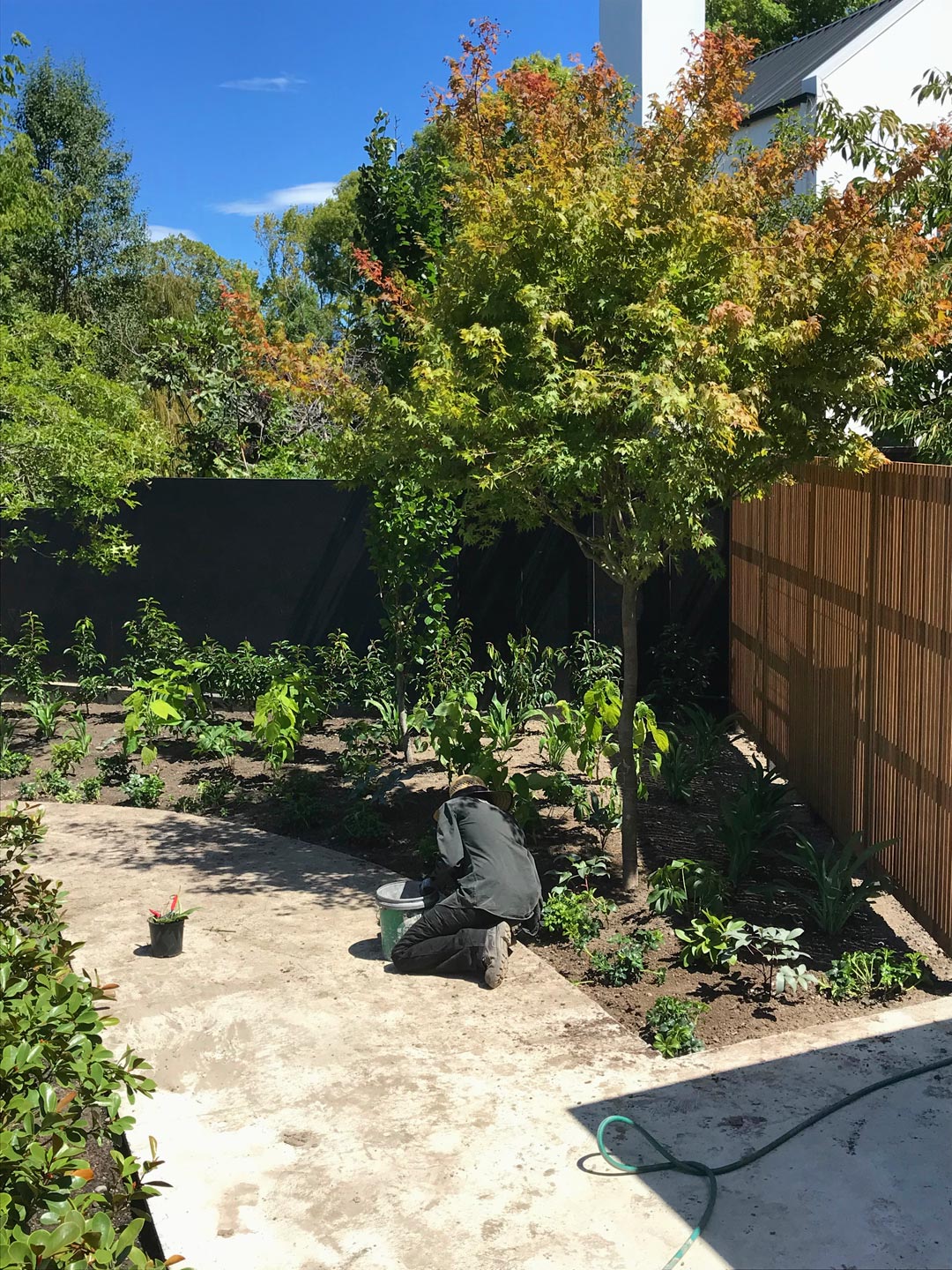  Planting. Install. Garden. Garden Maintenance  