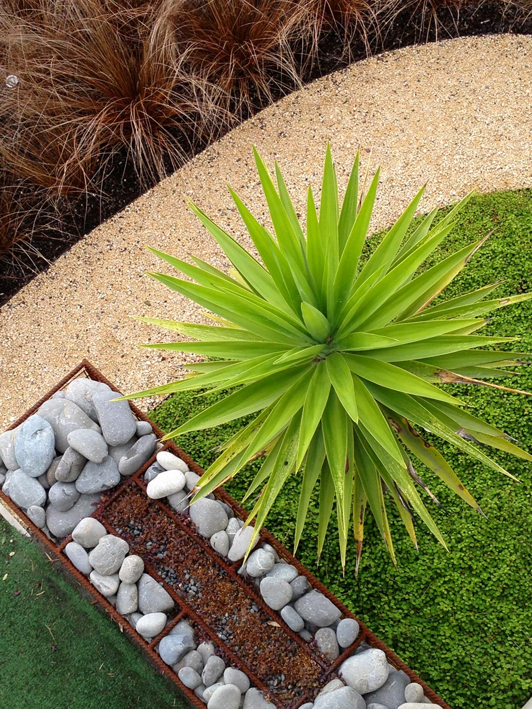  Yucca. Path. Gabbion  Wall  