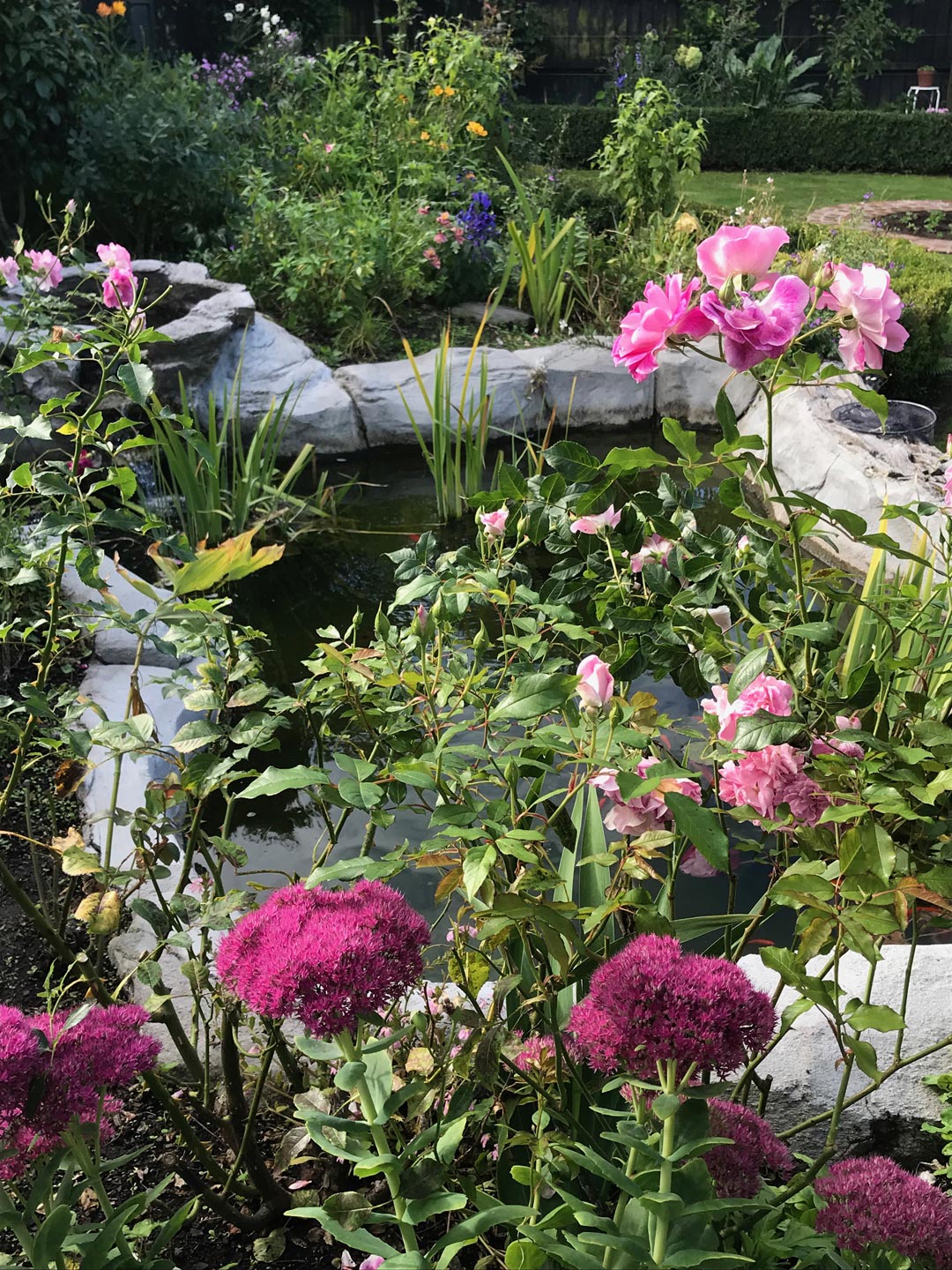  Pond, Roses Garden Maintenance  