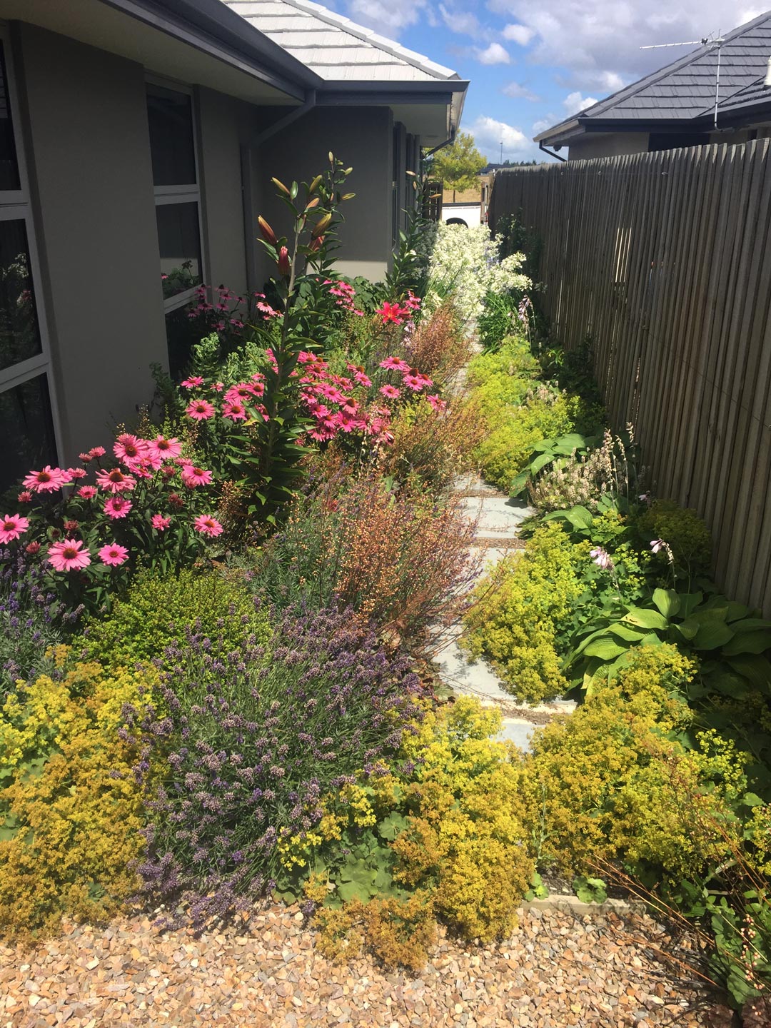  Flowers. Garden. Colour  